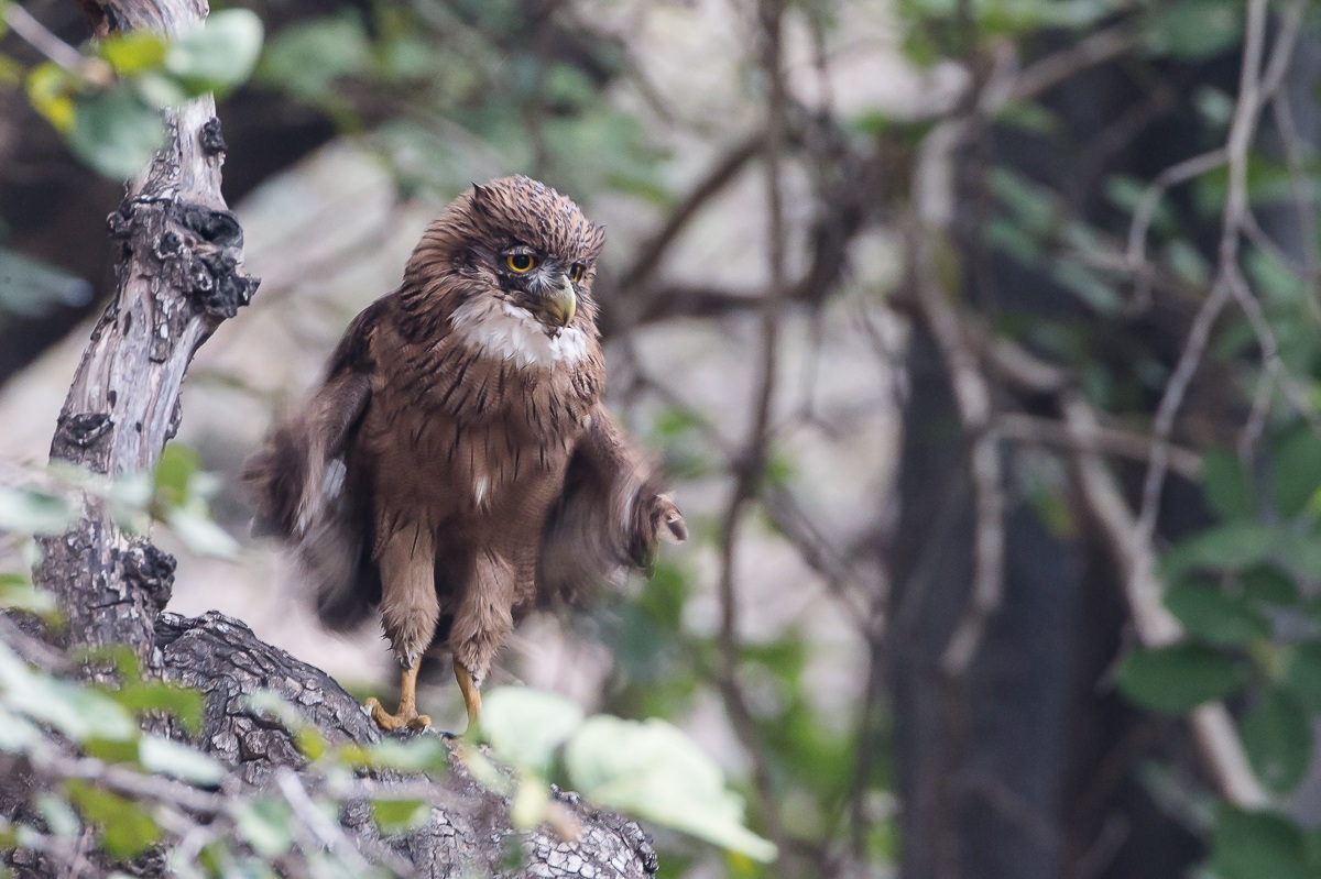 They're turning .......