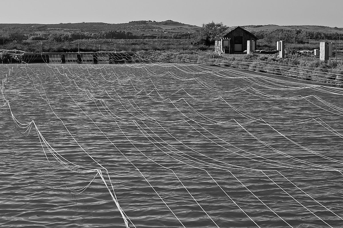 Le ragnatele del Sinis