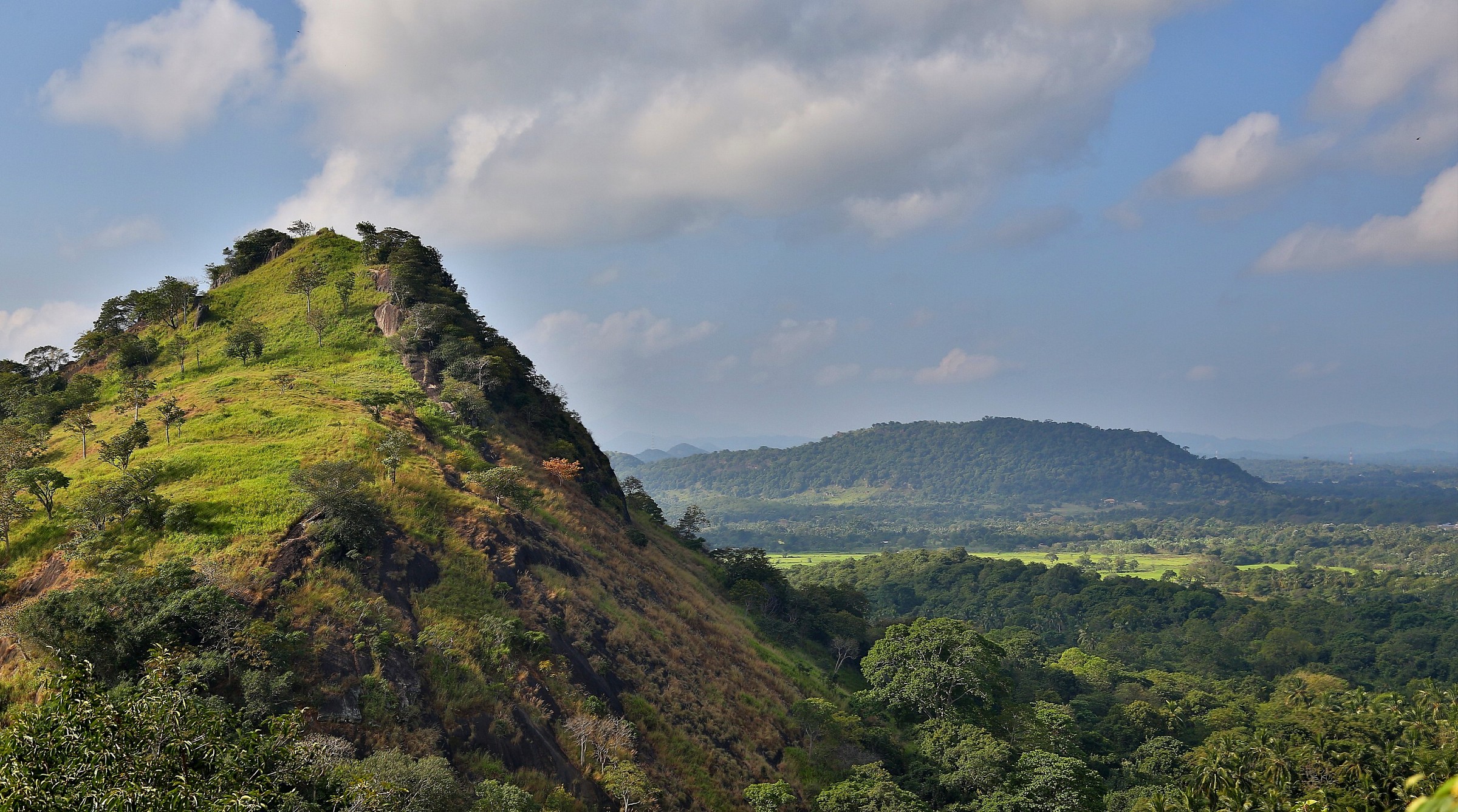 Panorama from Dambulla.