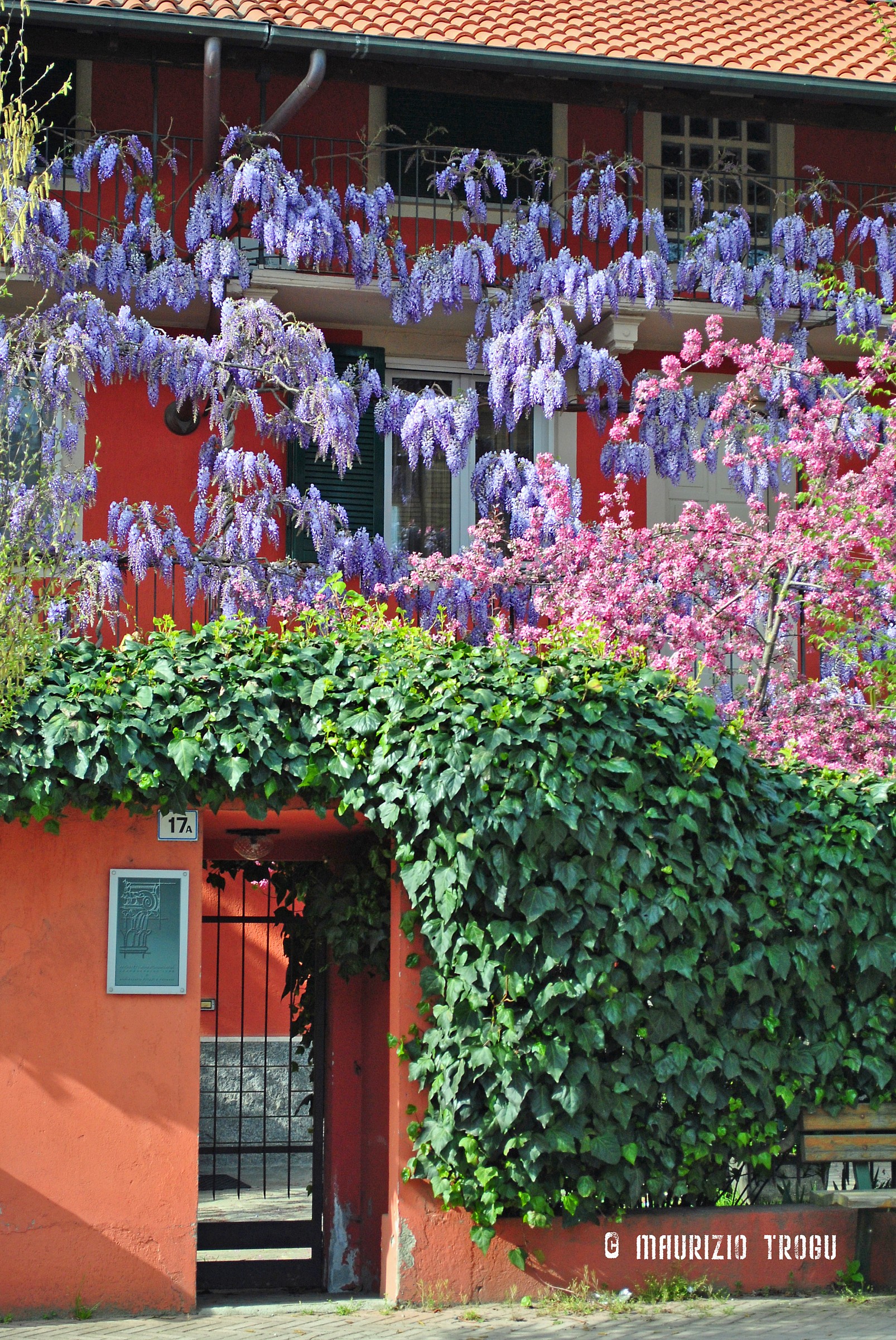 The colors of Spring