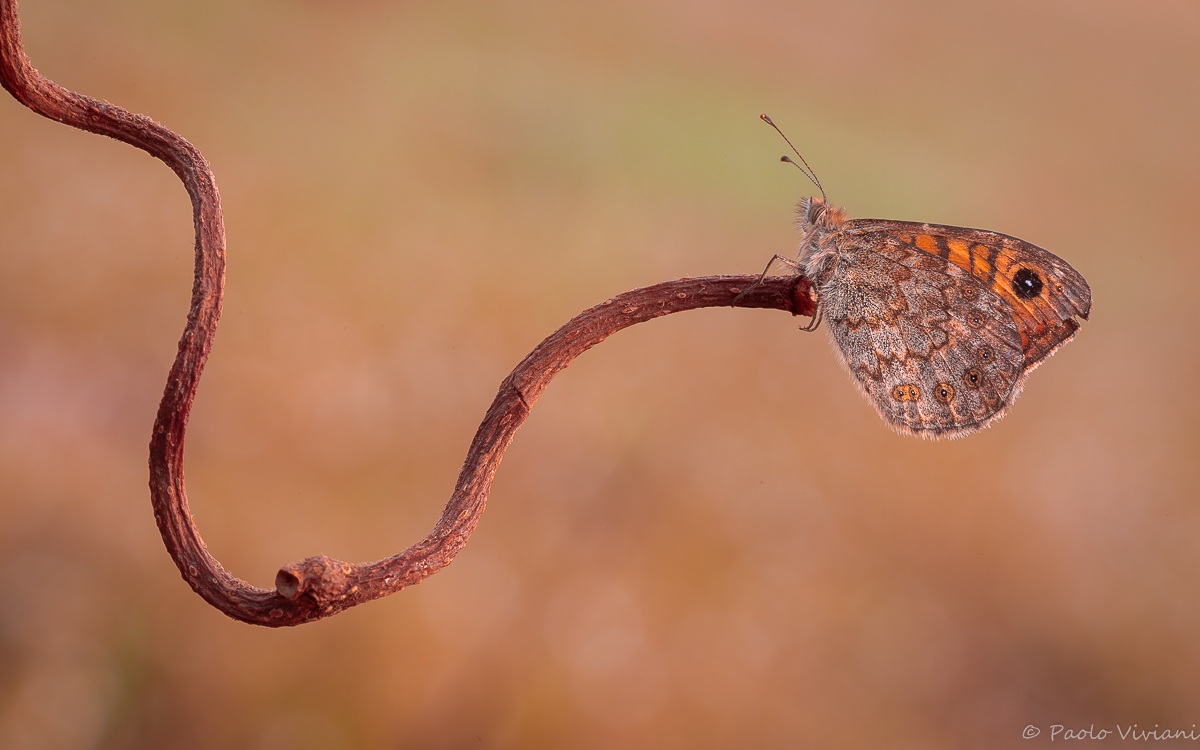 First rays of the sun ...