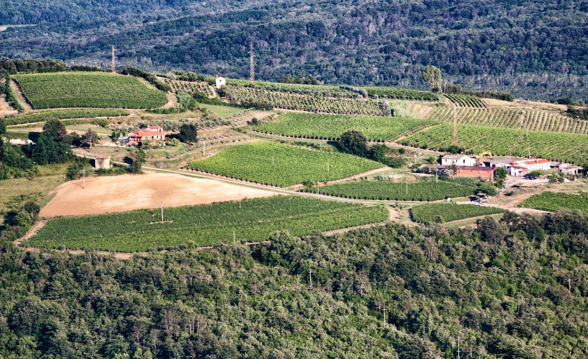 Vista da Grisignana - Istria