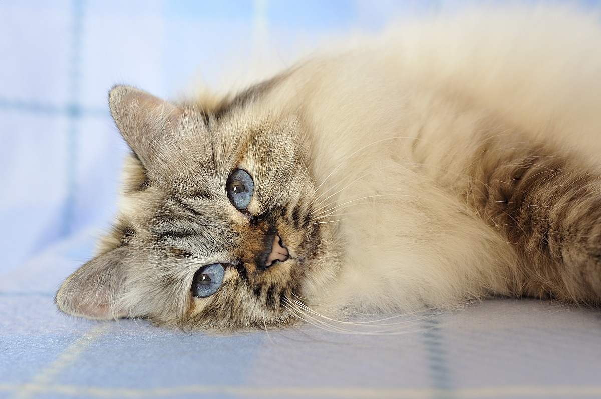 che stanchezza fare la modella