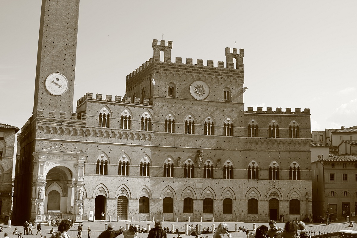 square of the field yesterday .....