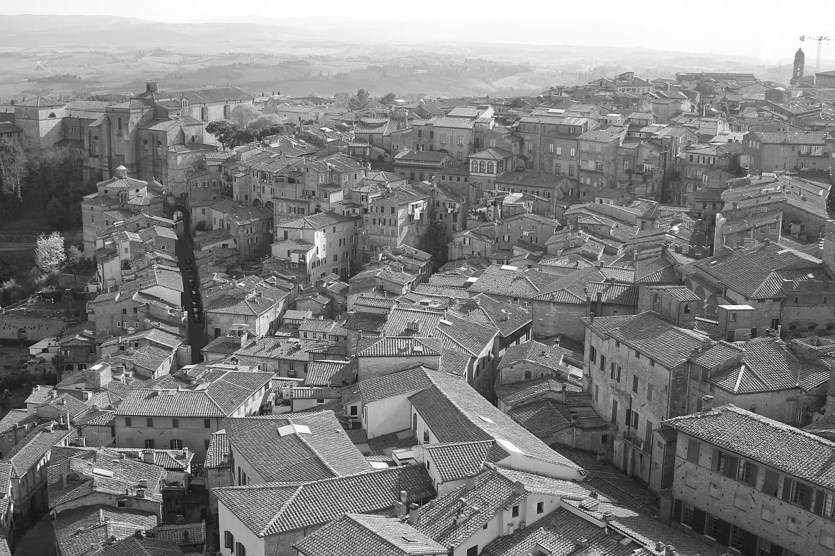 the rooftops of siena ...