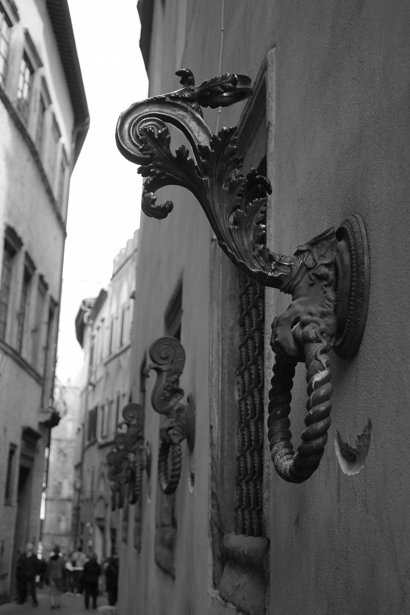 earrings on the walls ...