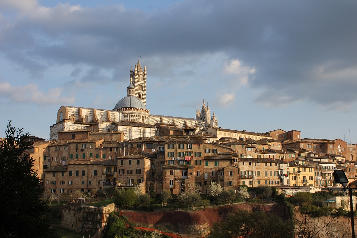 siena
