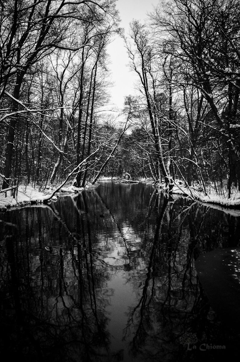 Schlosspark Nymphenburg