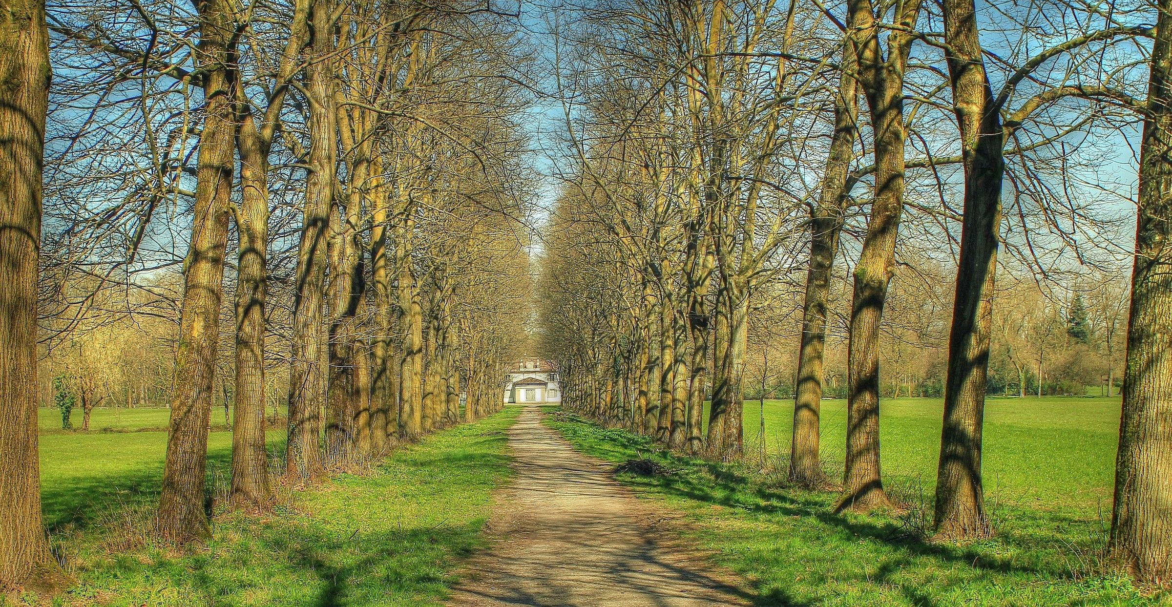 In fondo al viale...Fagianaia Reale Parco di Monza
