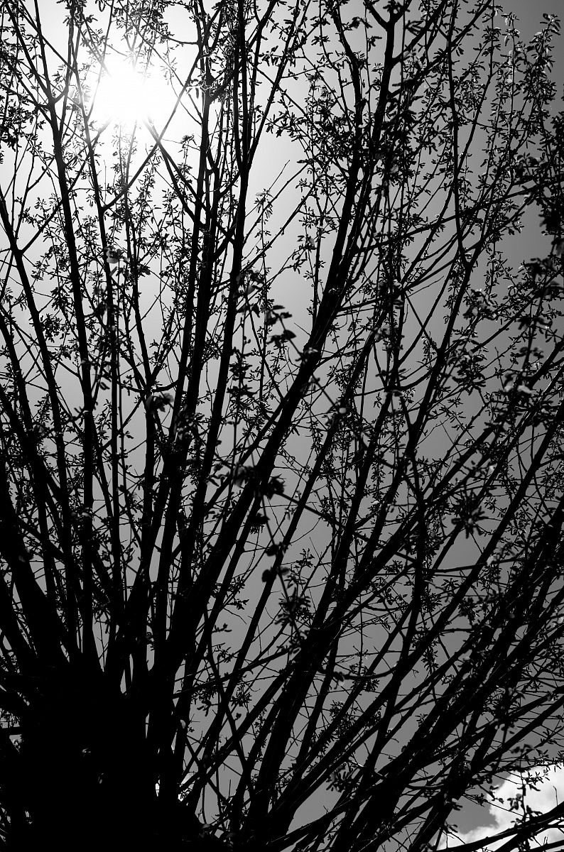 Mogliano and surroundings