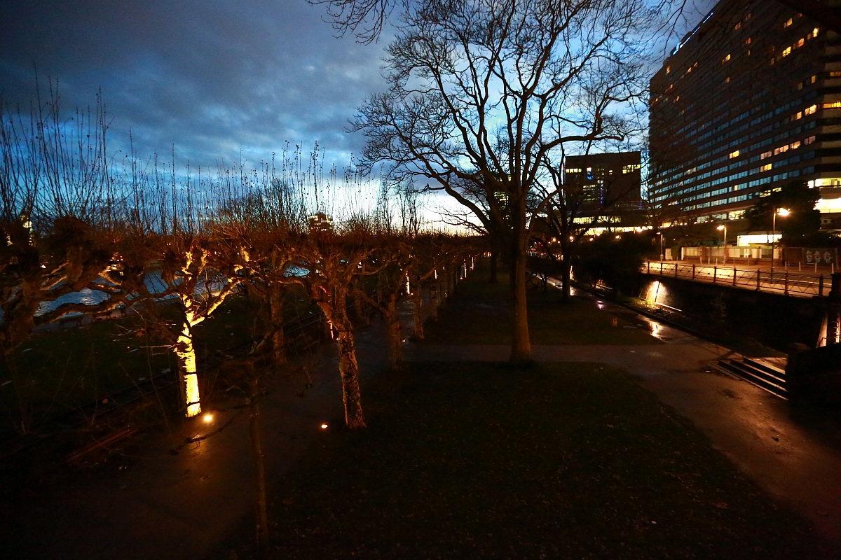 Frankfurt on the river