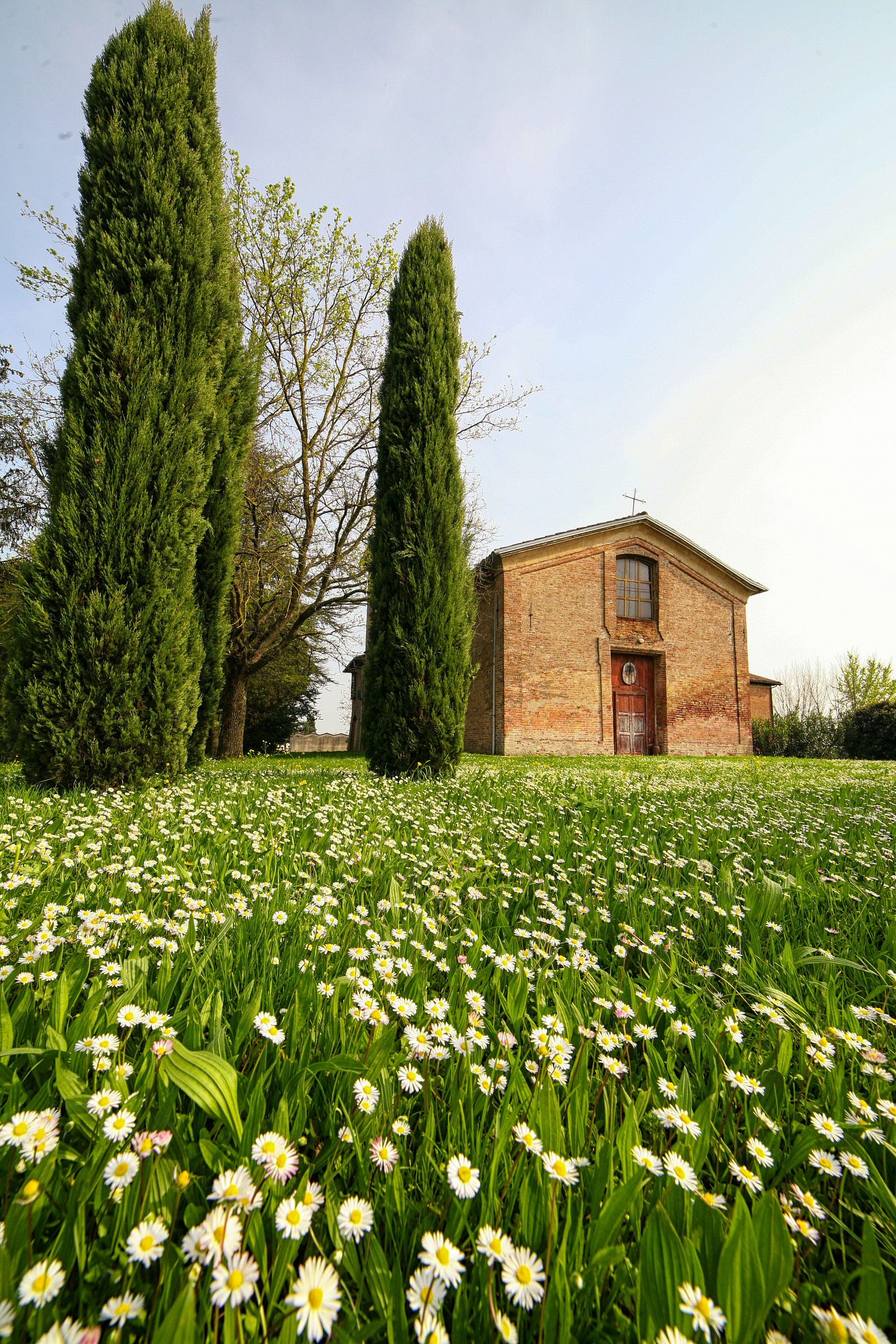 La primavera in Romagna..