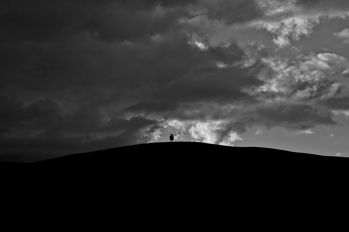 Testimone del tempo (val d'Orcia)