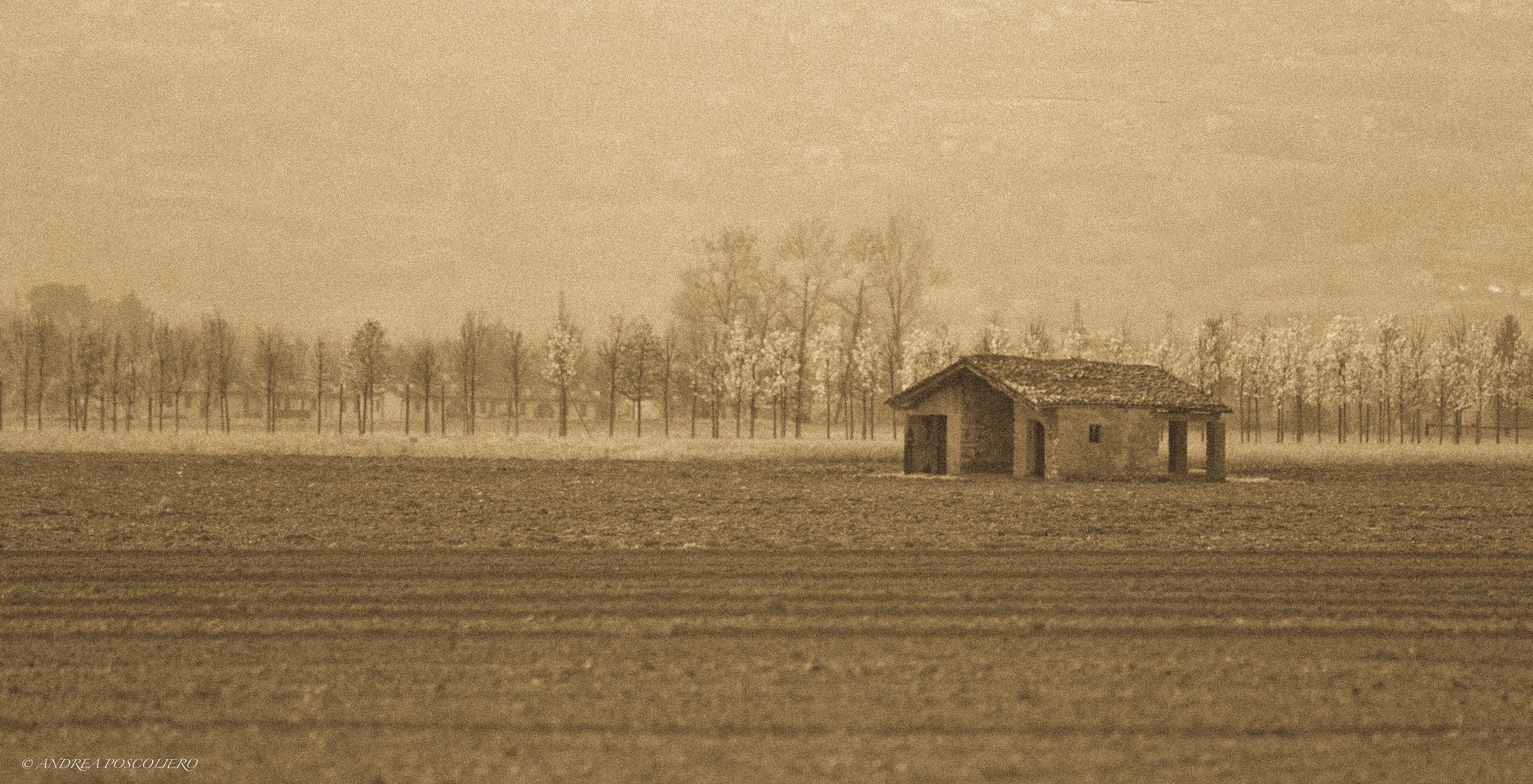 The grandfather's house