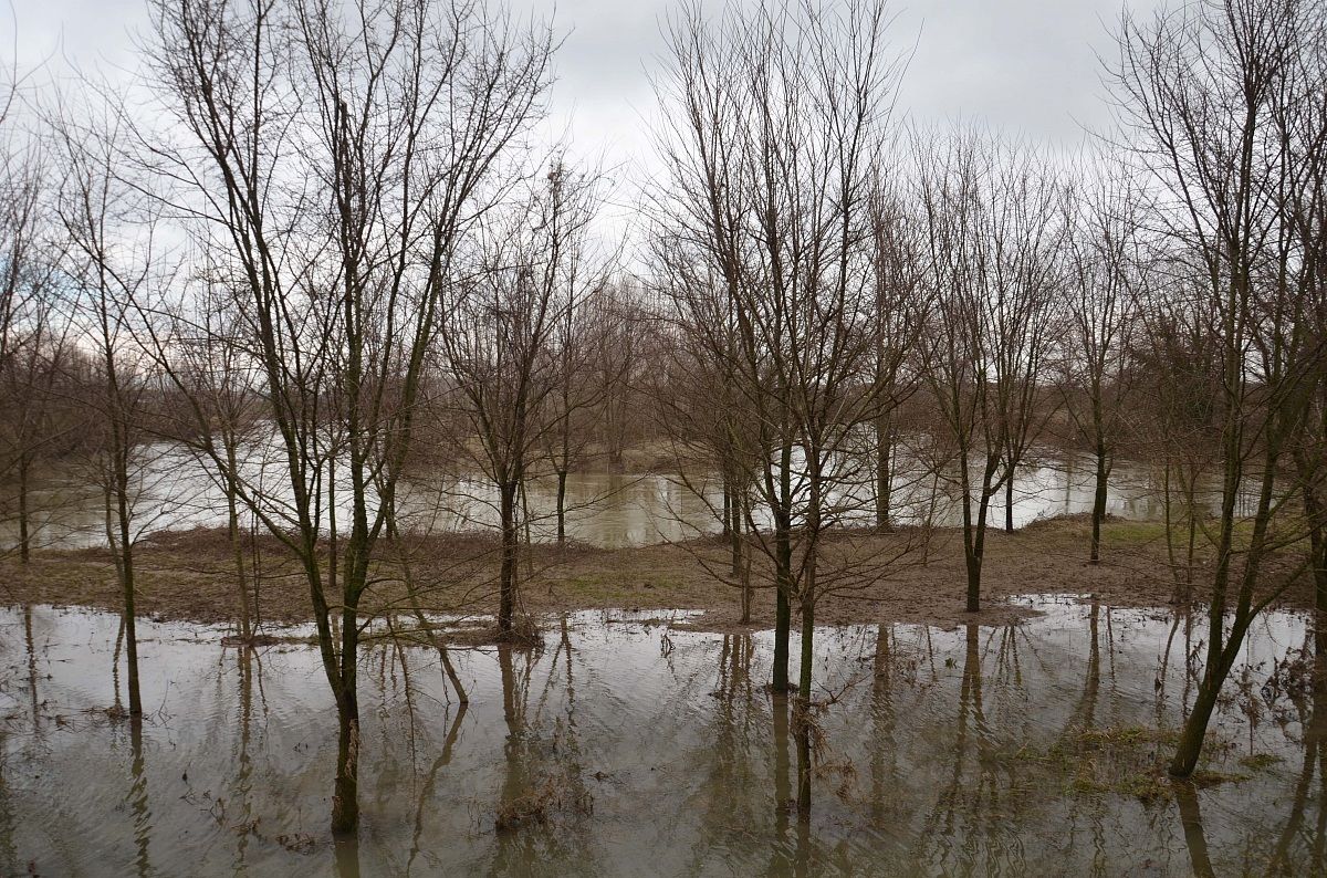 Along the river water