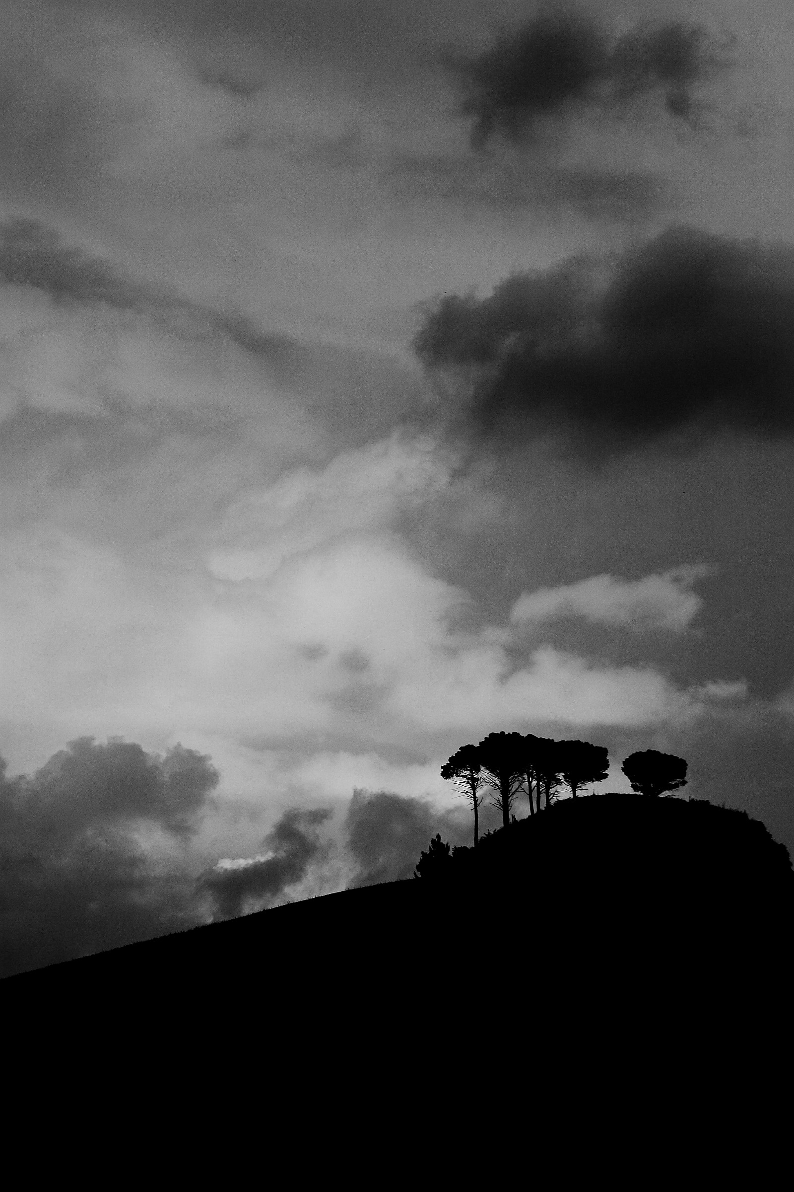 Furia degli elementi