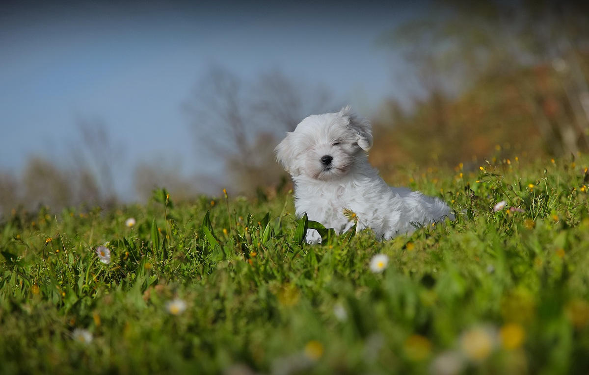 mi hanno dimenticato.....