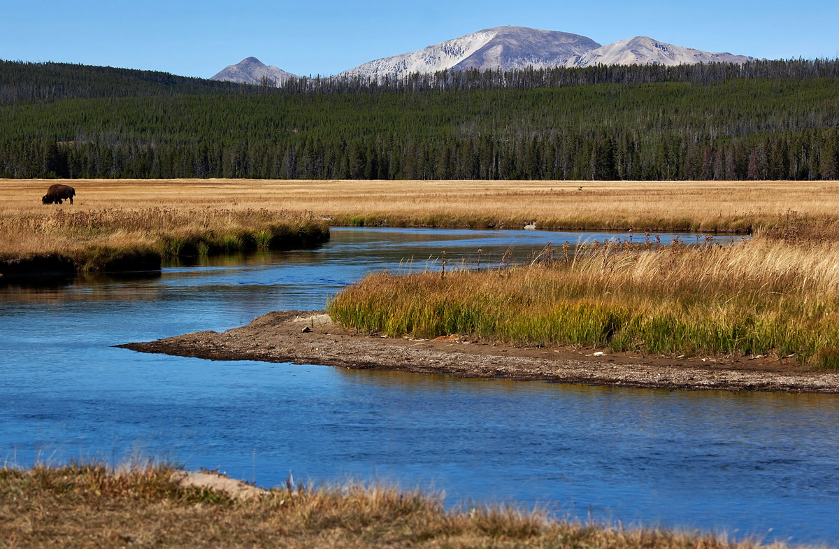 Yellowstone National Park