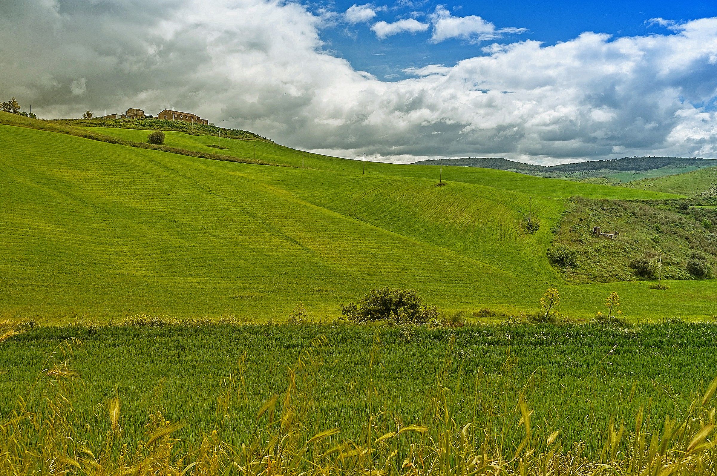 Waiting for the Spring