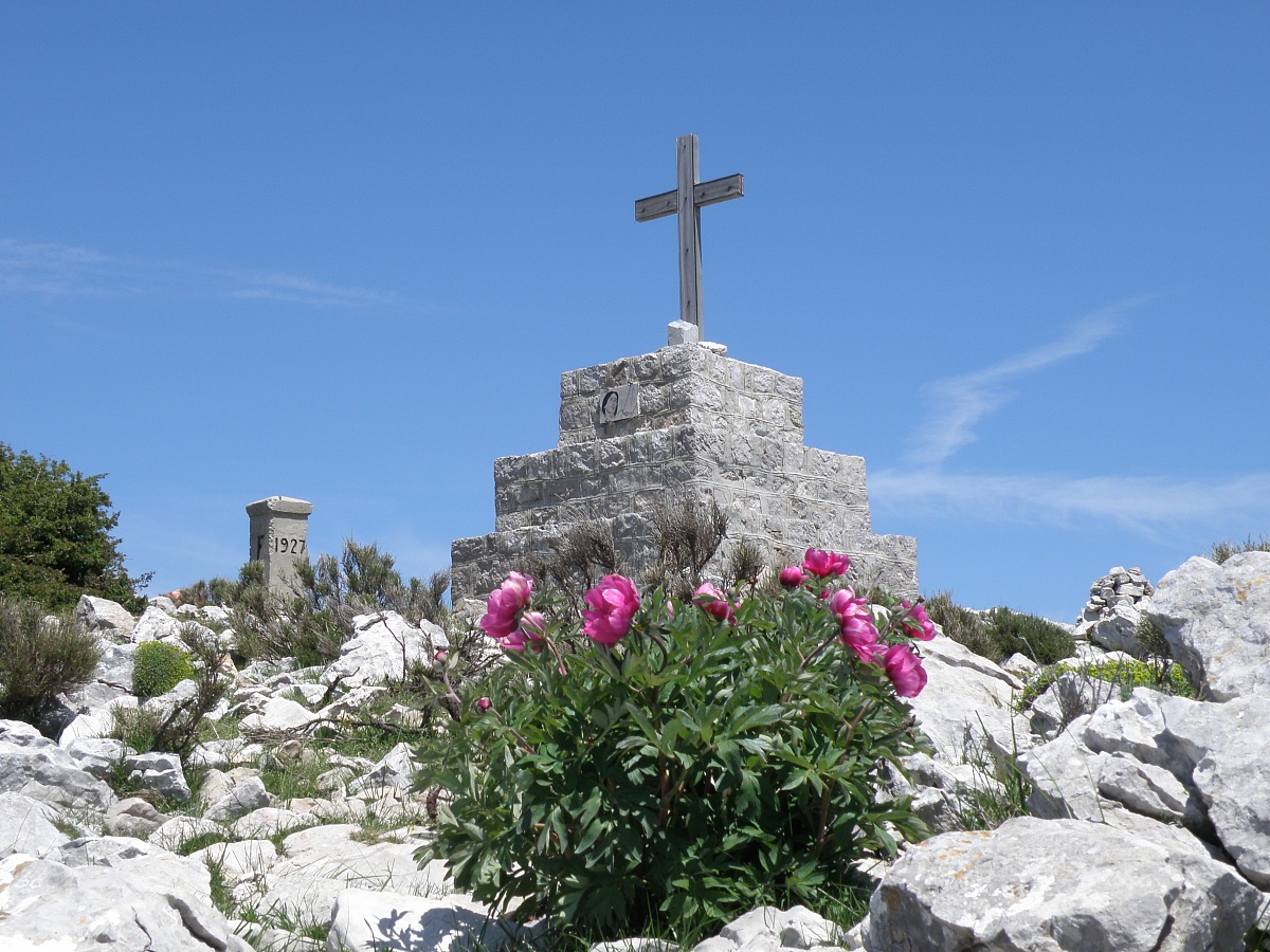 fioritura peonie al Gran Mondo