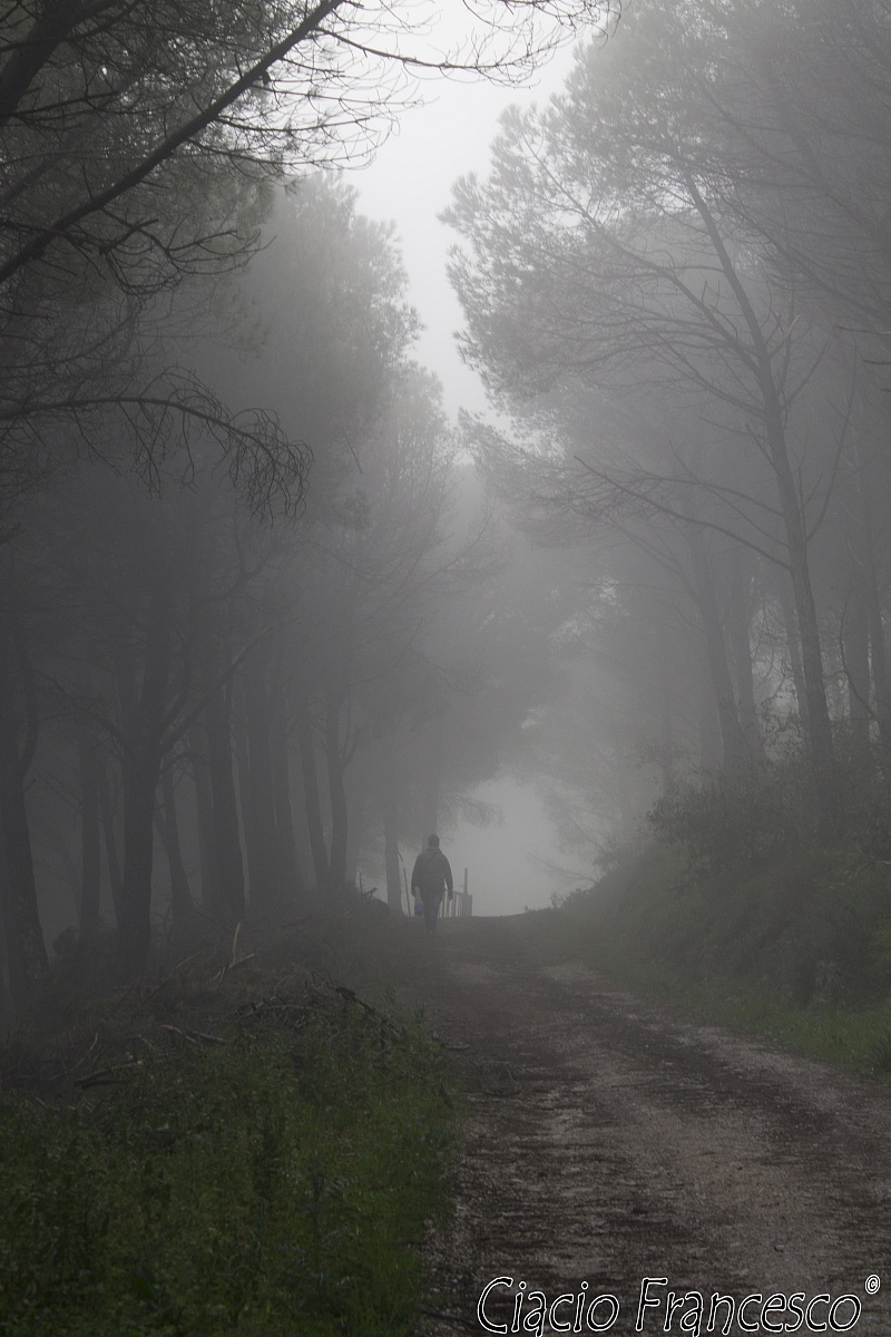 l'uomo della nebbia...