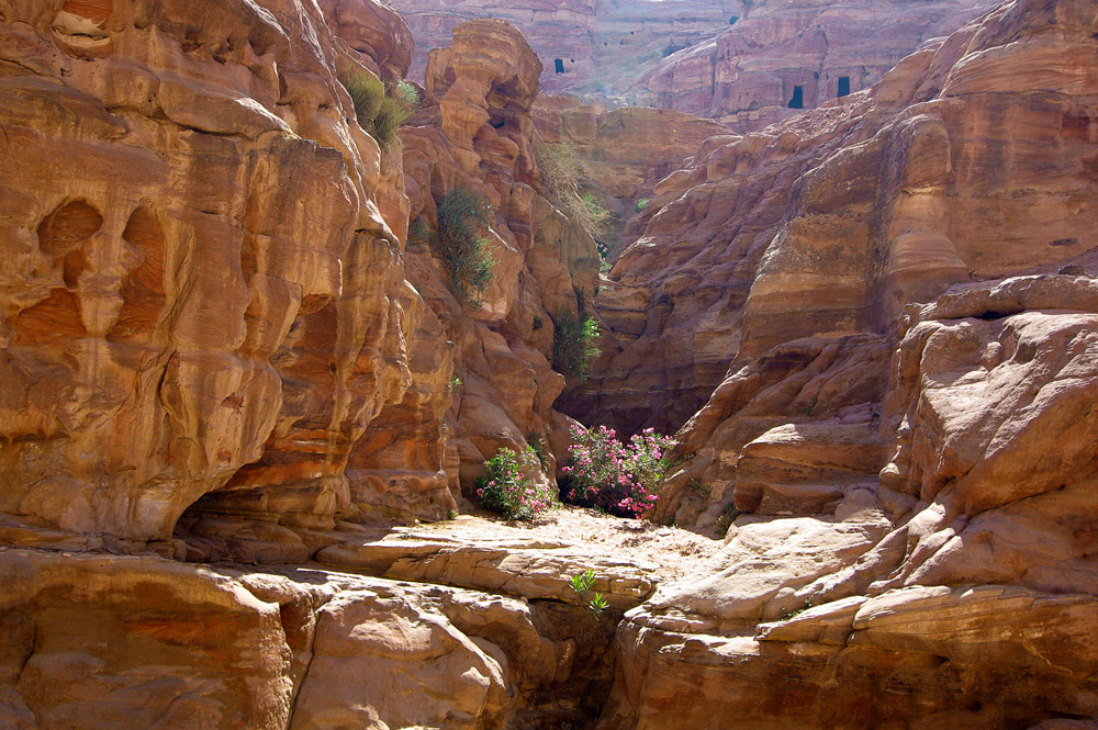 Petra - conformation of the rocks