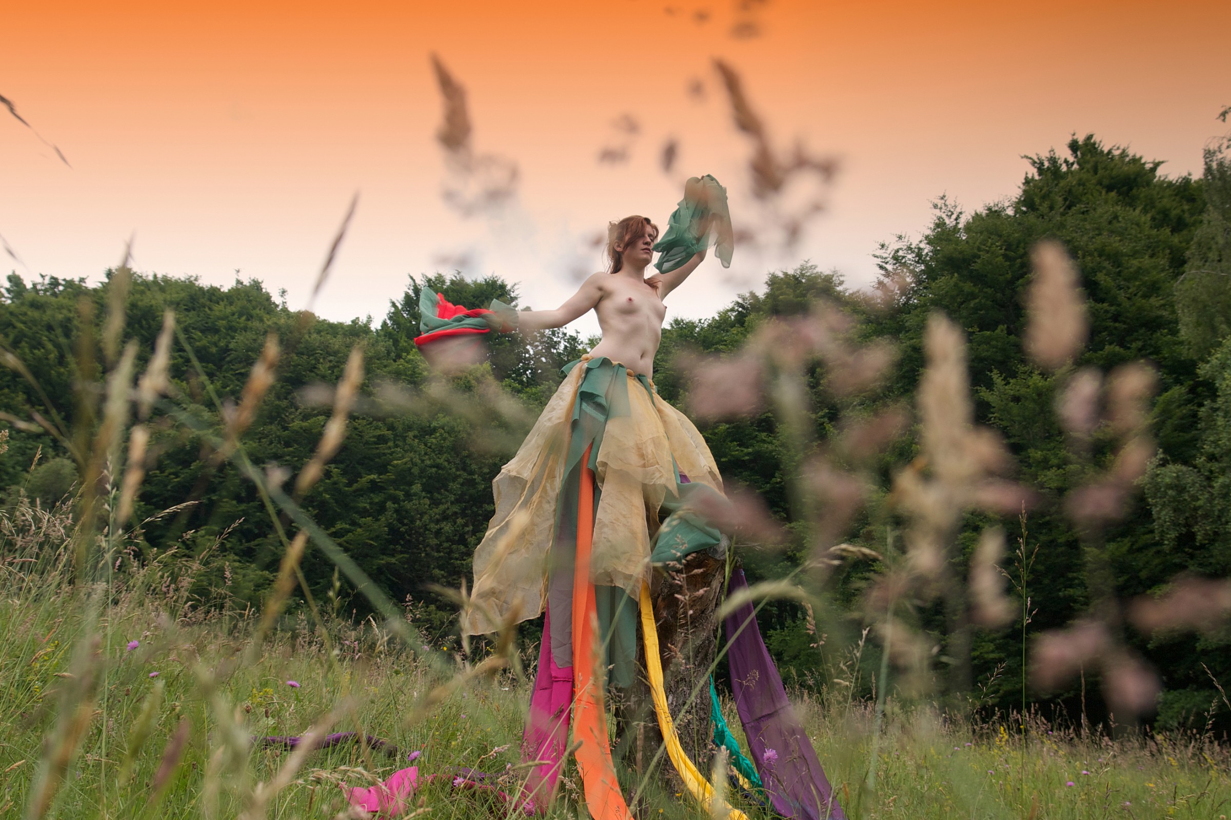 la Fata degli alberi - 2