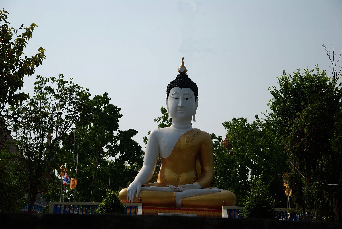 to the floating market