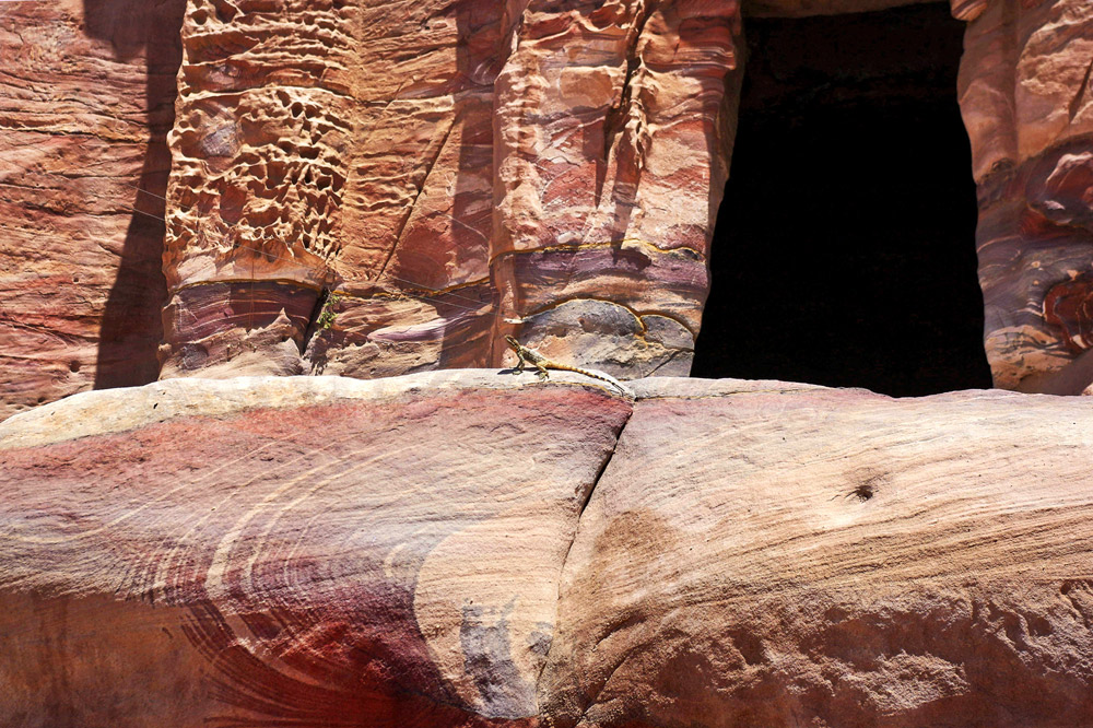 Petra fantasy colors with lizard ...