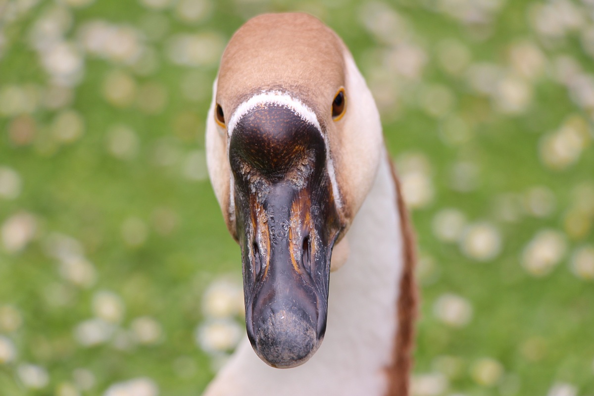 yet another step ...