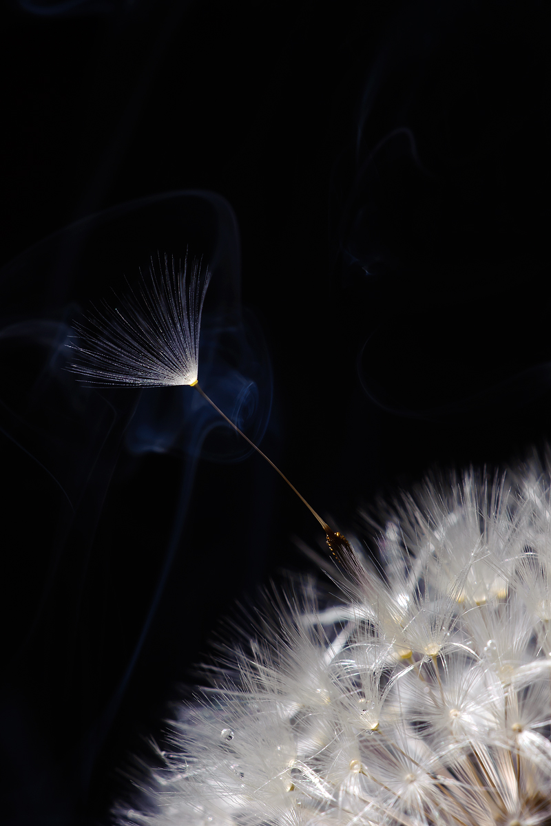 prima di un lungo viaggio