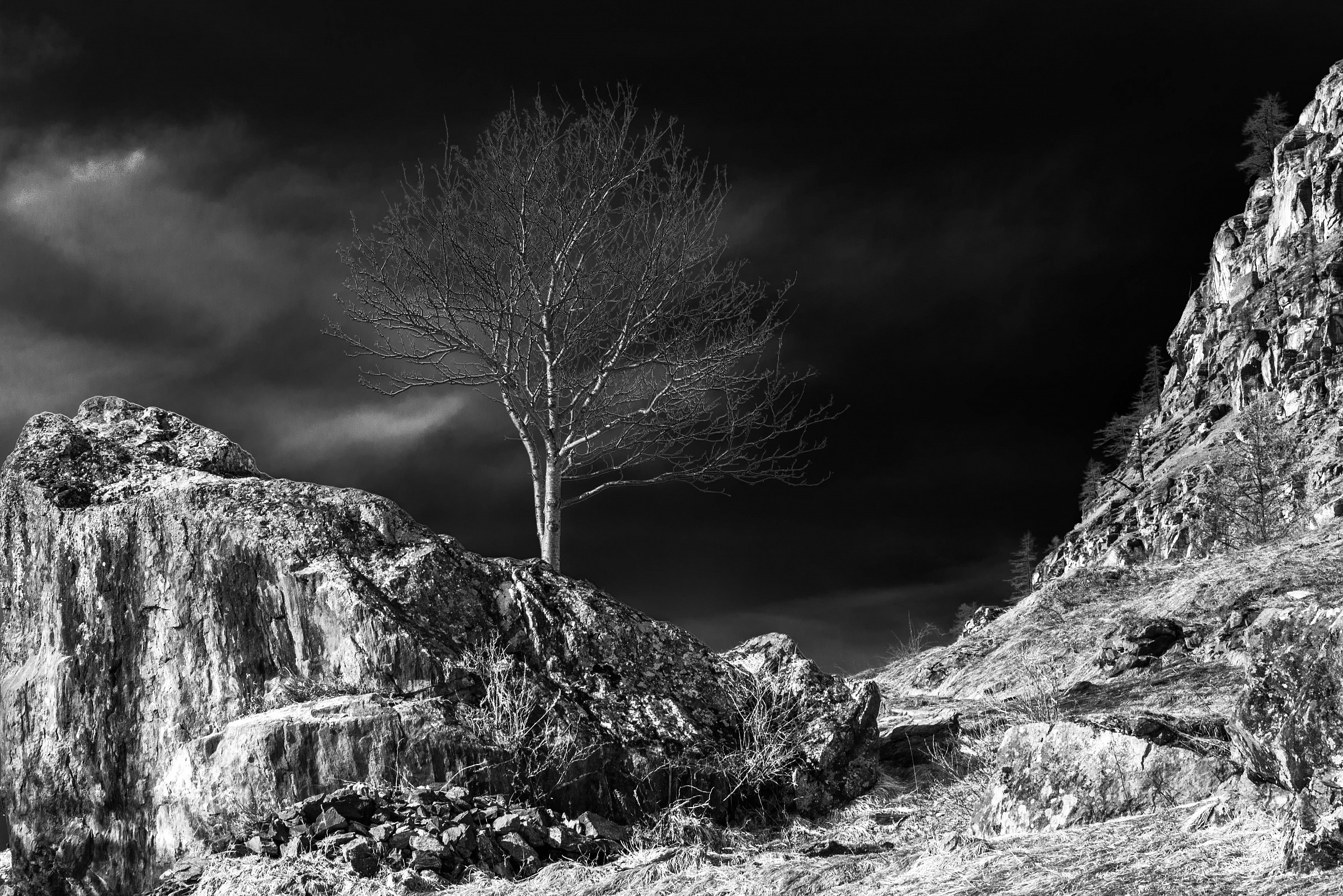 Solitario tra le vette - Valsavarenche