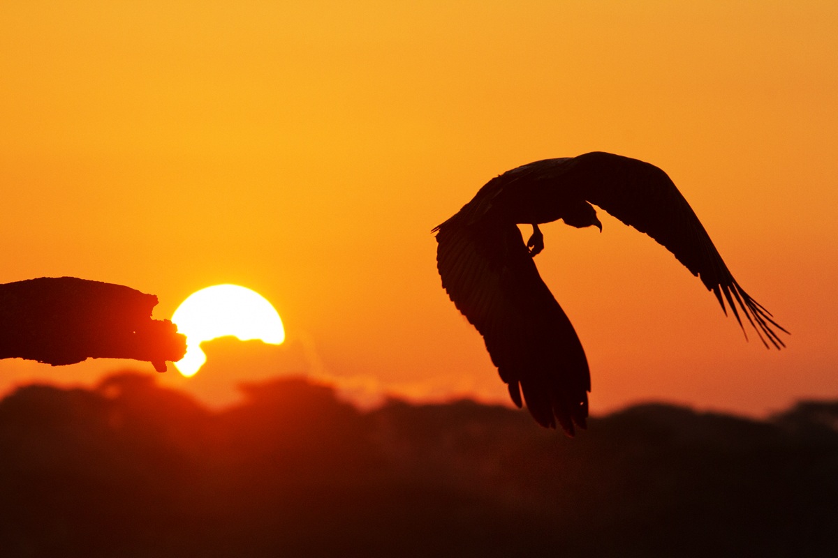 L' alba di un nuovo giorno