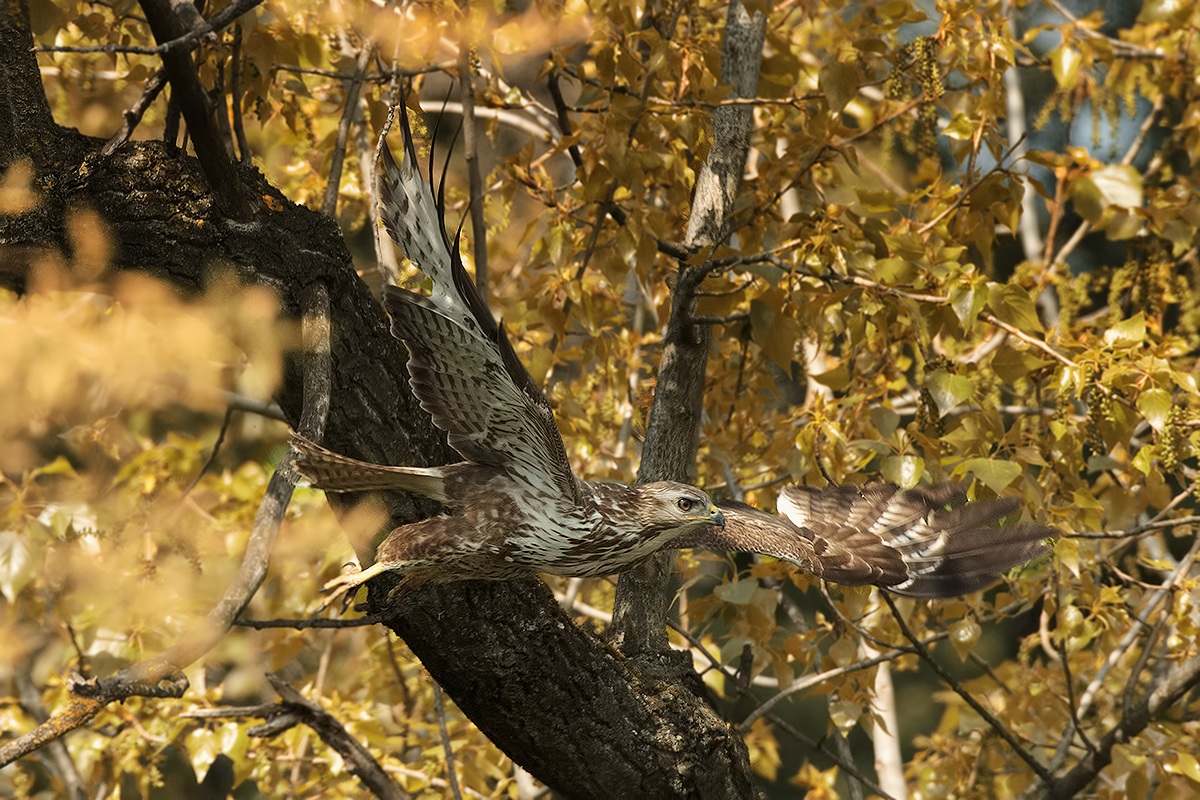 Seeing it is a stat photograph .. venture ..... well ...!