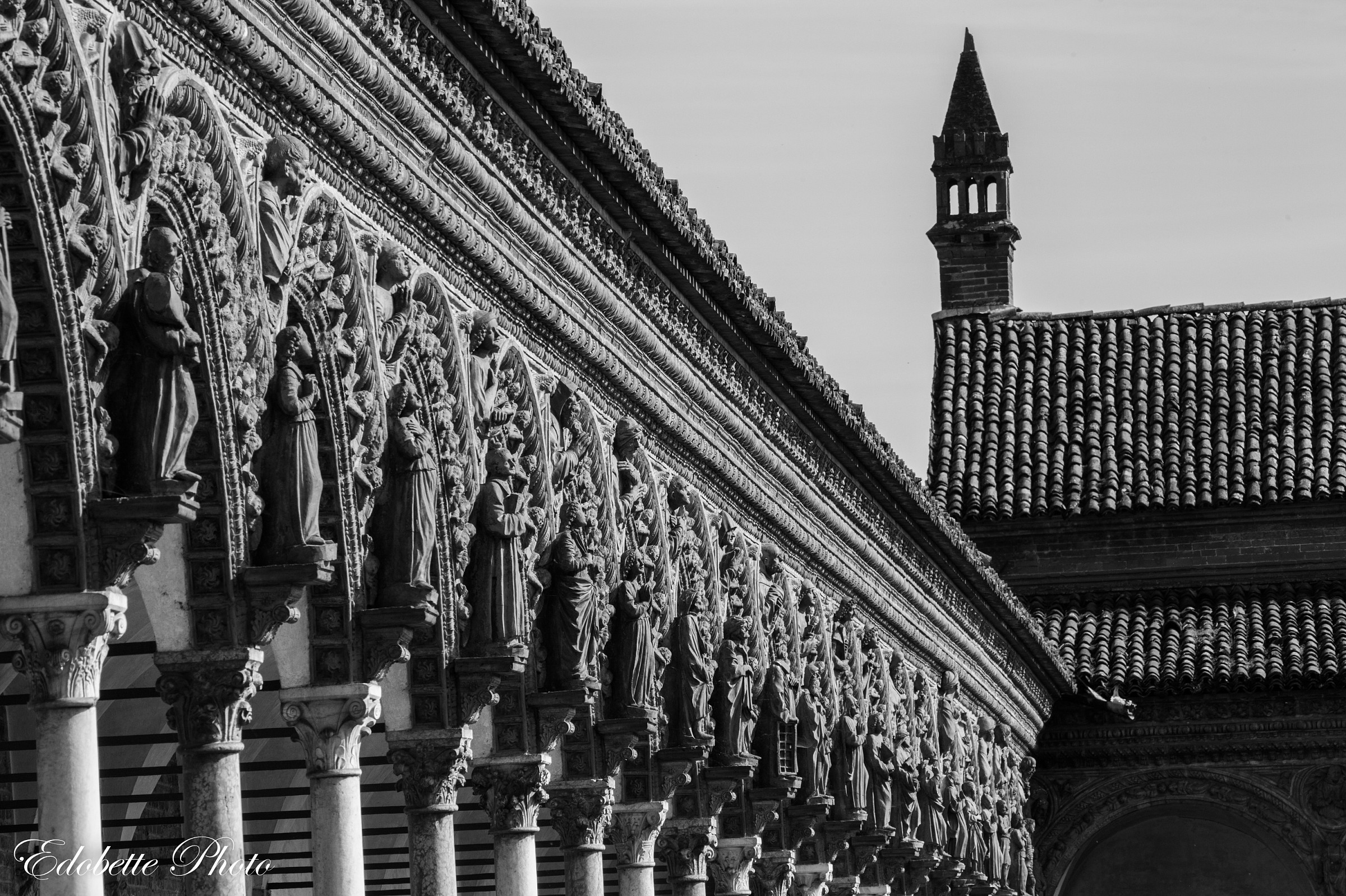 The Charterhouse of Pavia