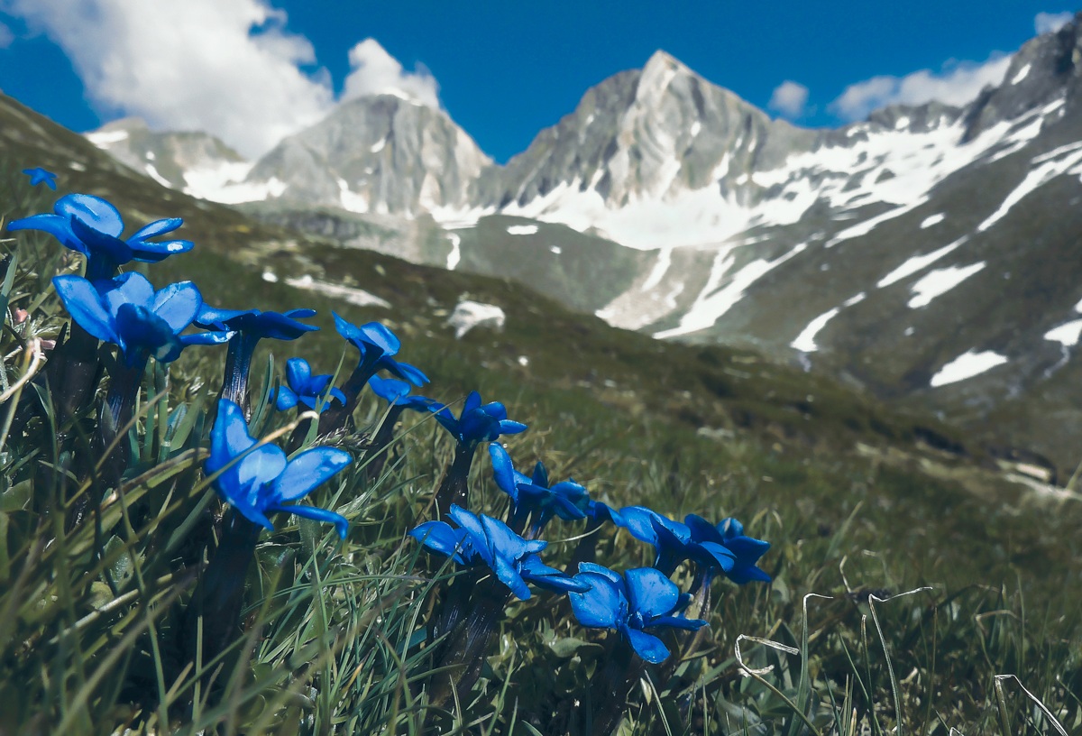 Pfossental-Texelgruppe