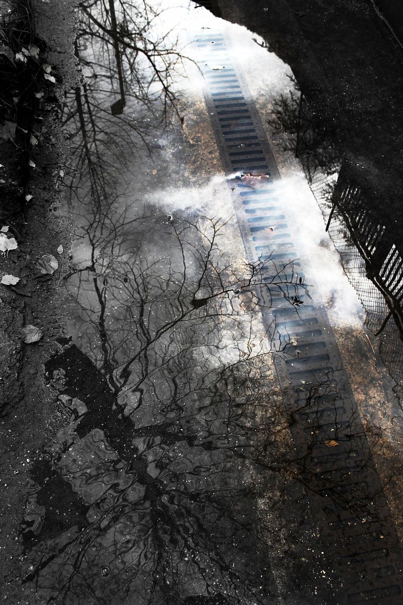 Autumn reflections 1