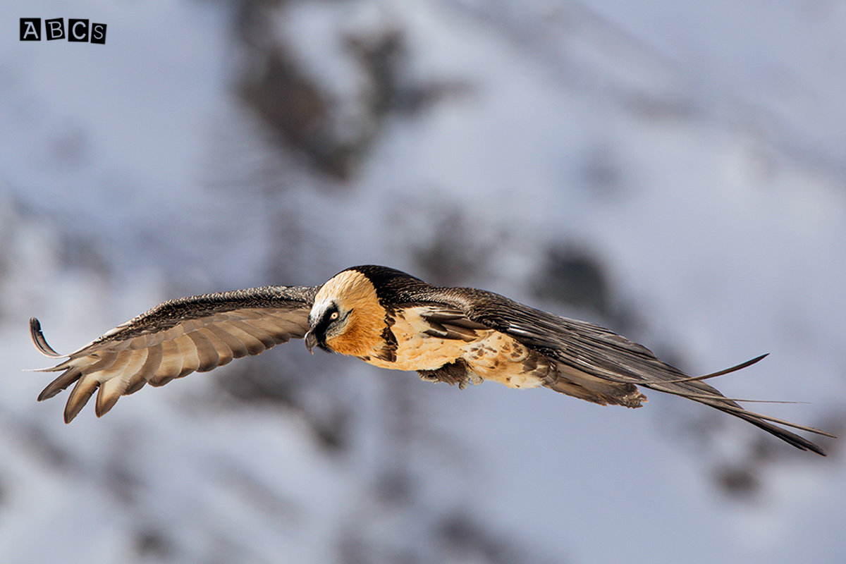 When you look at me like that ..