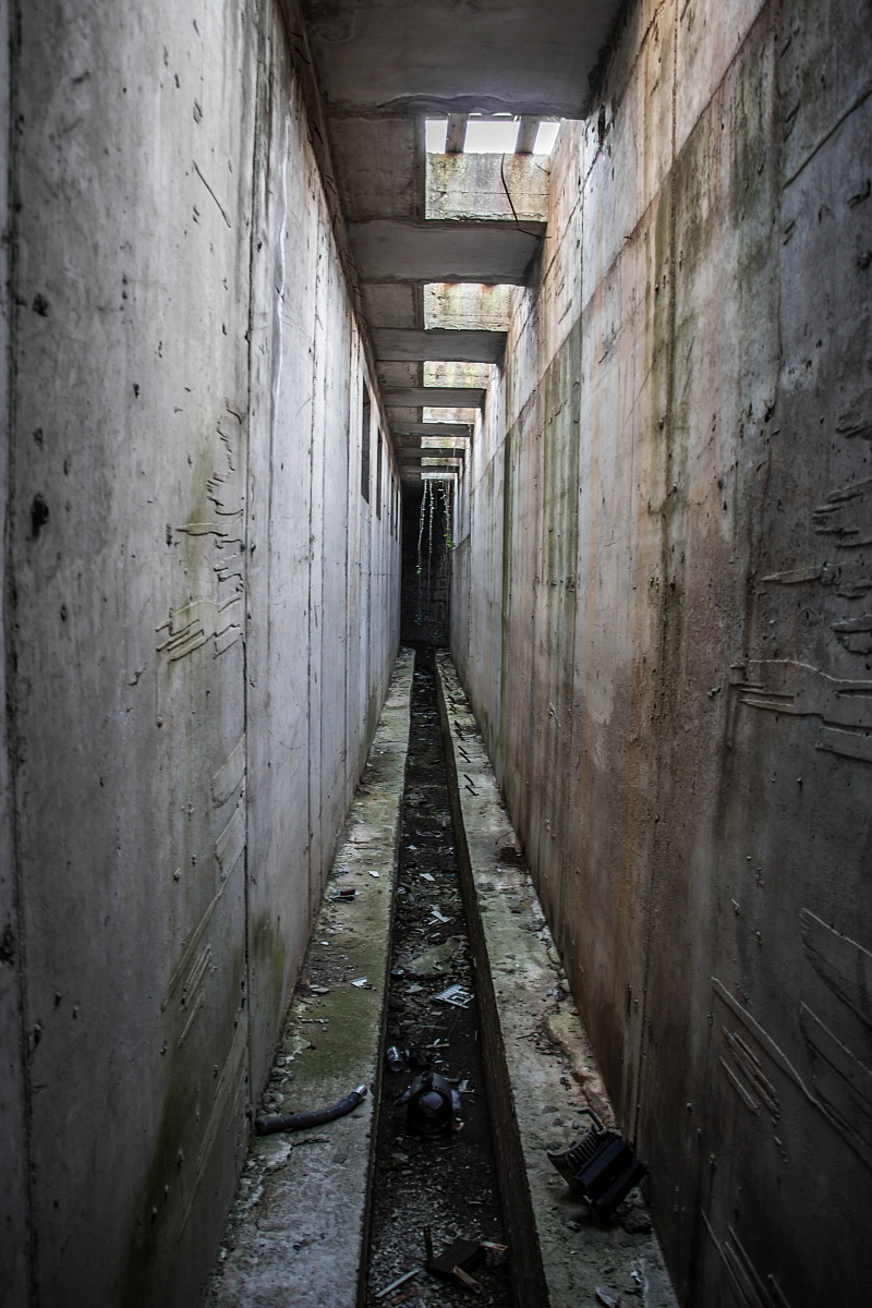 Industria grafica abbandonata