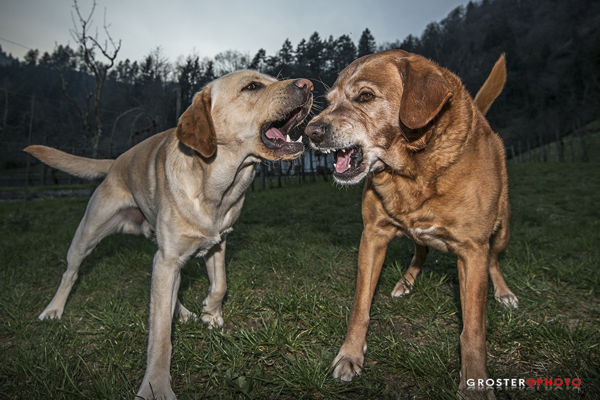 Non mi fare arrabbiare....