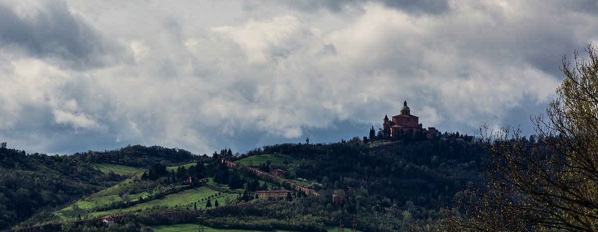 Saint Luke - Bologna