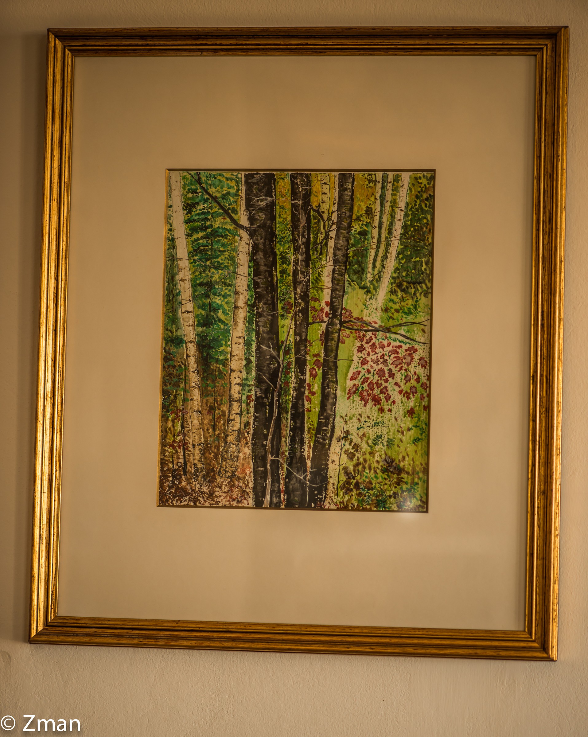 One of My Water Colour Paintings