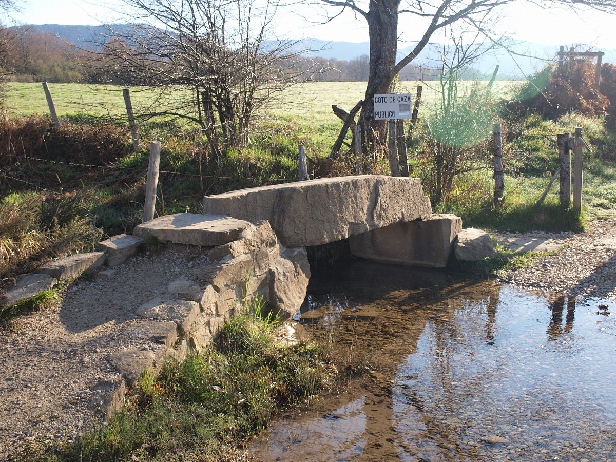 Verso Zubiri Camino de Santiago