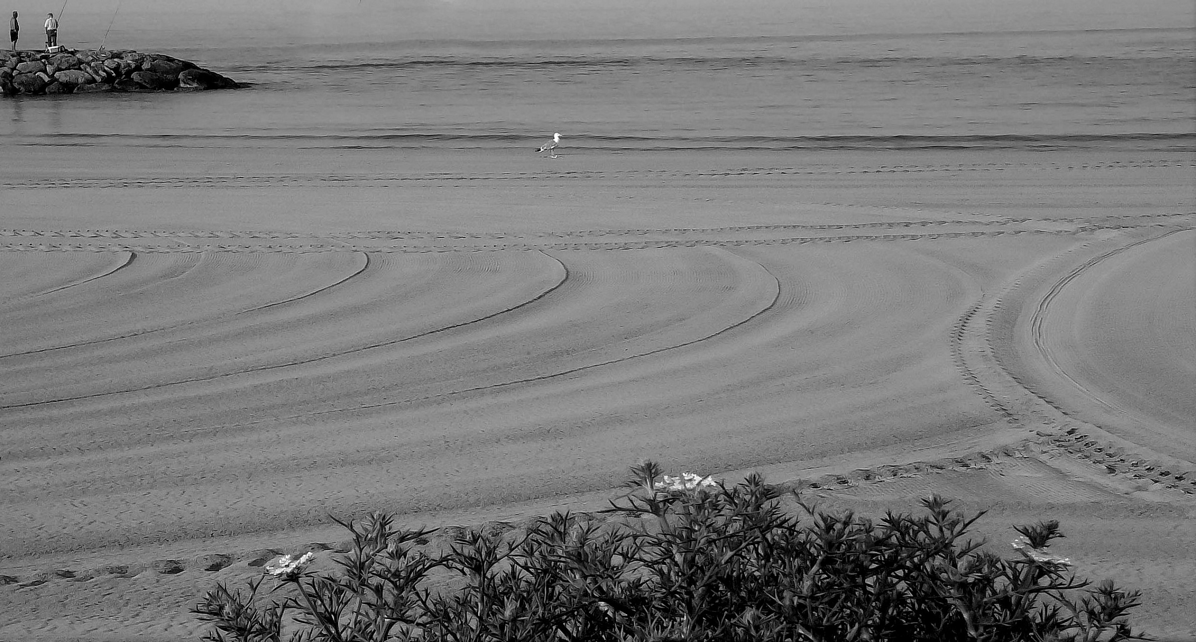 perplexity ...............