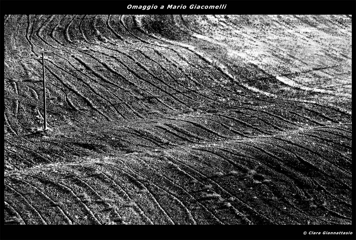 Tribute to Mario Giacomelli