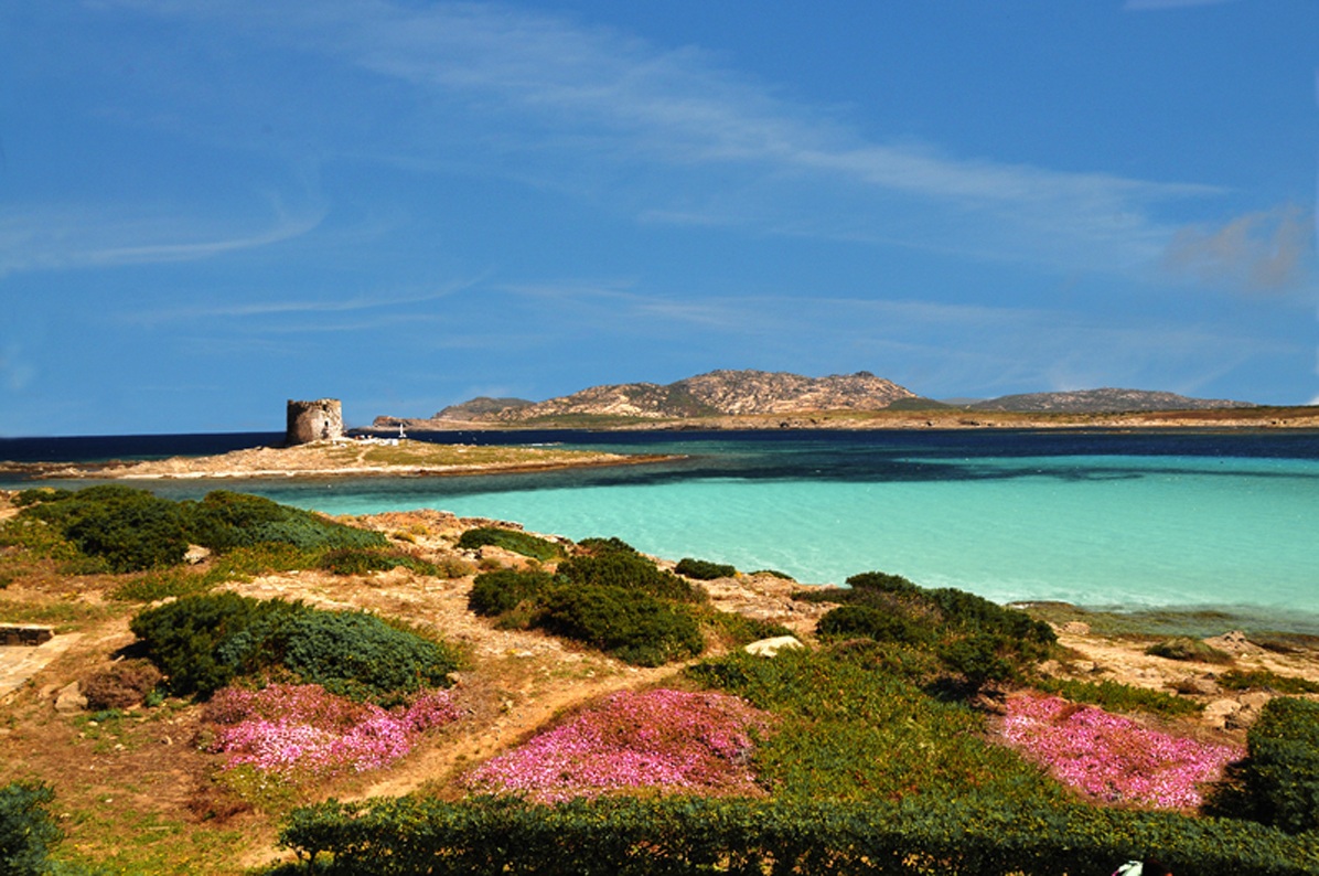 Stintino tower Arragonese