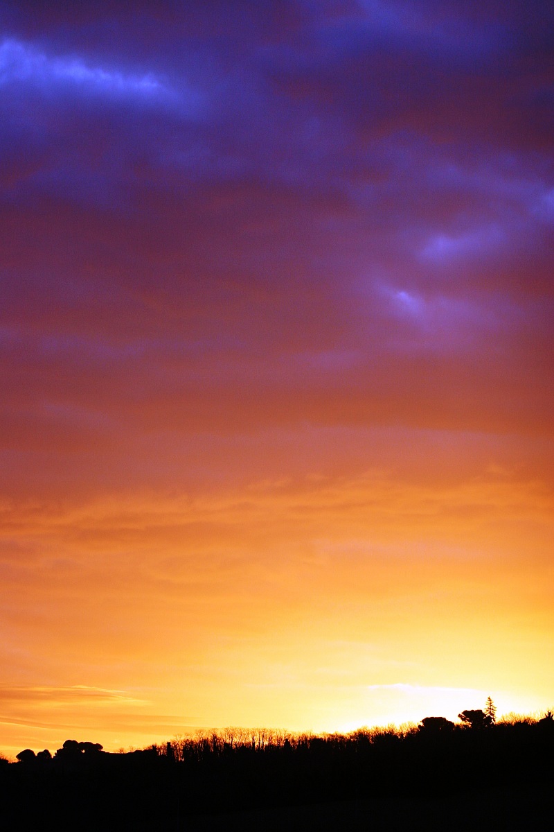 che colori vedo dalla finestra