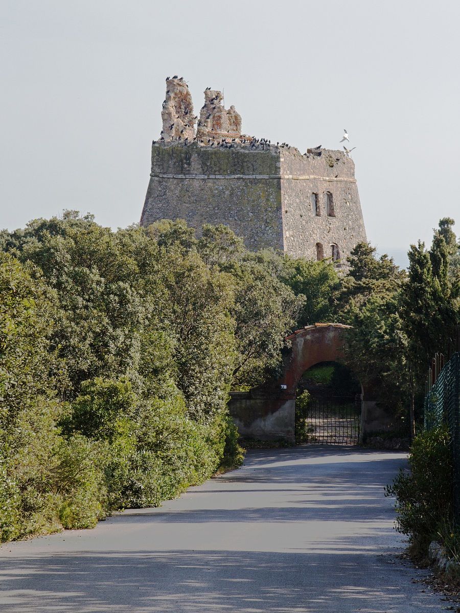 Torre San Biagio