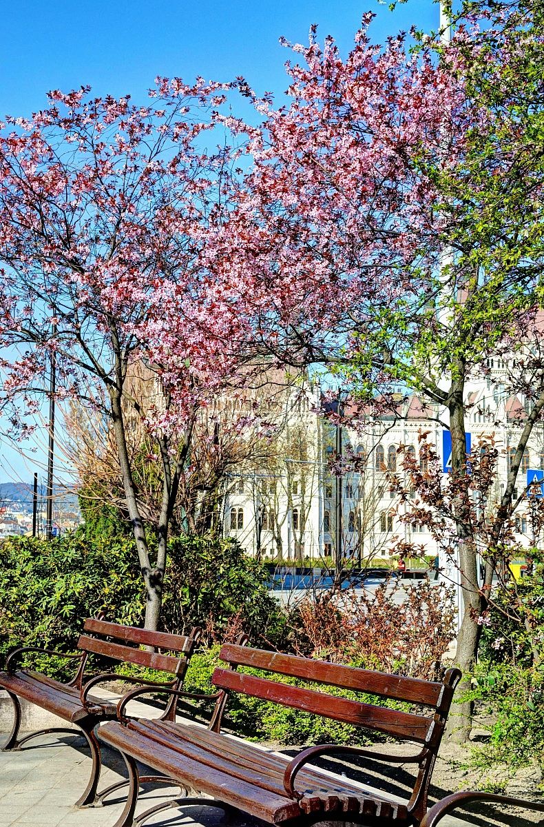 Primavera a Budapest