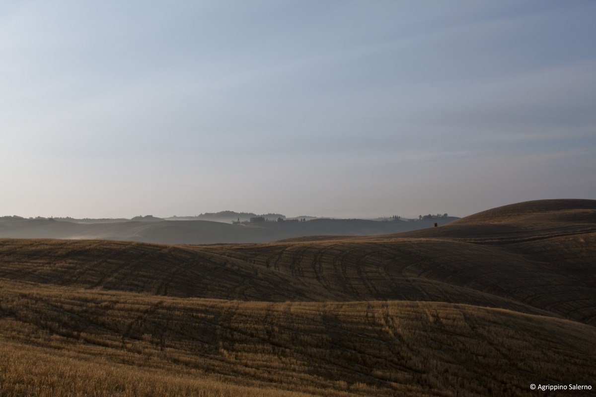 Crete Senesi, in the morning mist